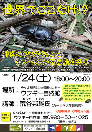 世界でここだけ 沖縄のクワガタムシとカブトムシの不思議を探る 15年01月24日 土 浦添の地域密着型ポータルサイト ビジネス モール うらそえ