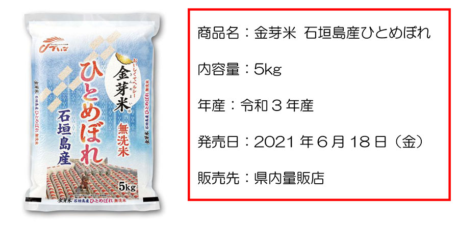 小島良太ひとめぼれ米　2021年度 米/穀物