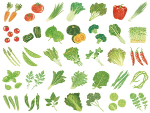 5月のみどりの講演会 島野菜の魅力 那覇市緑化センター 22年05月28日 土 浦添の地域密着型ポータルサイト ビジネス モール うらそえ