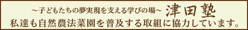 沖縄の塾 津田塾