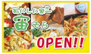 soraopen