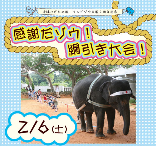 インドゾウ来園２周年祈念「感謝だゾウ！綱引き大会」ゾウと対決だ